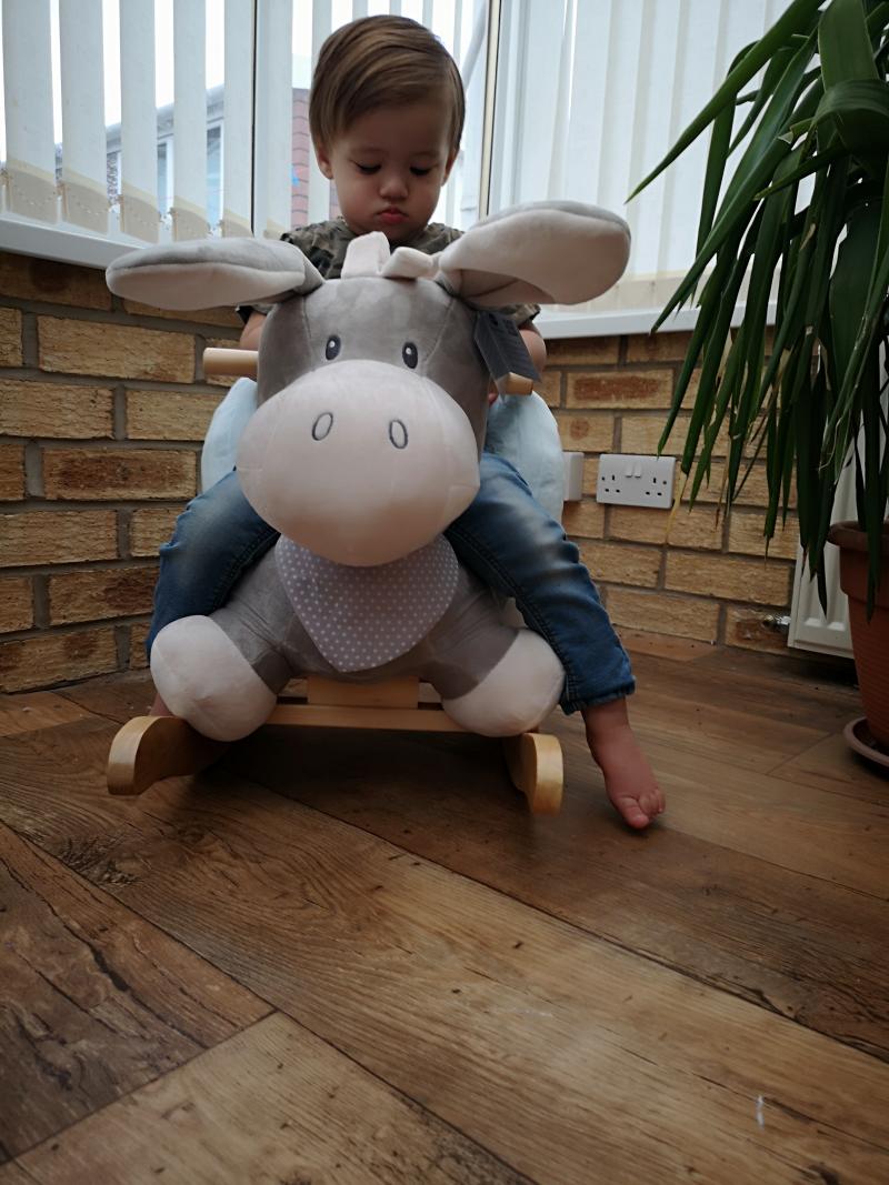 Nattou Cappuccino Donkey Rocker - Reviews