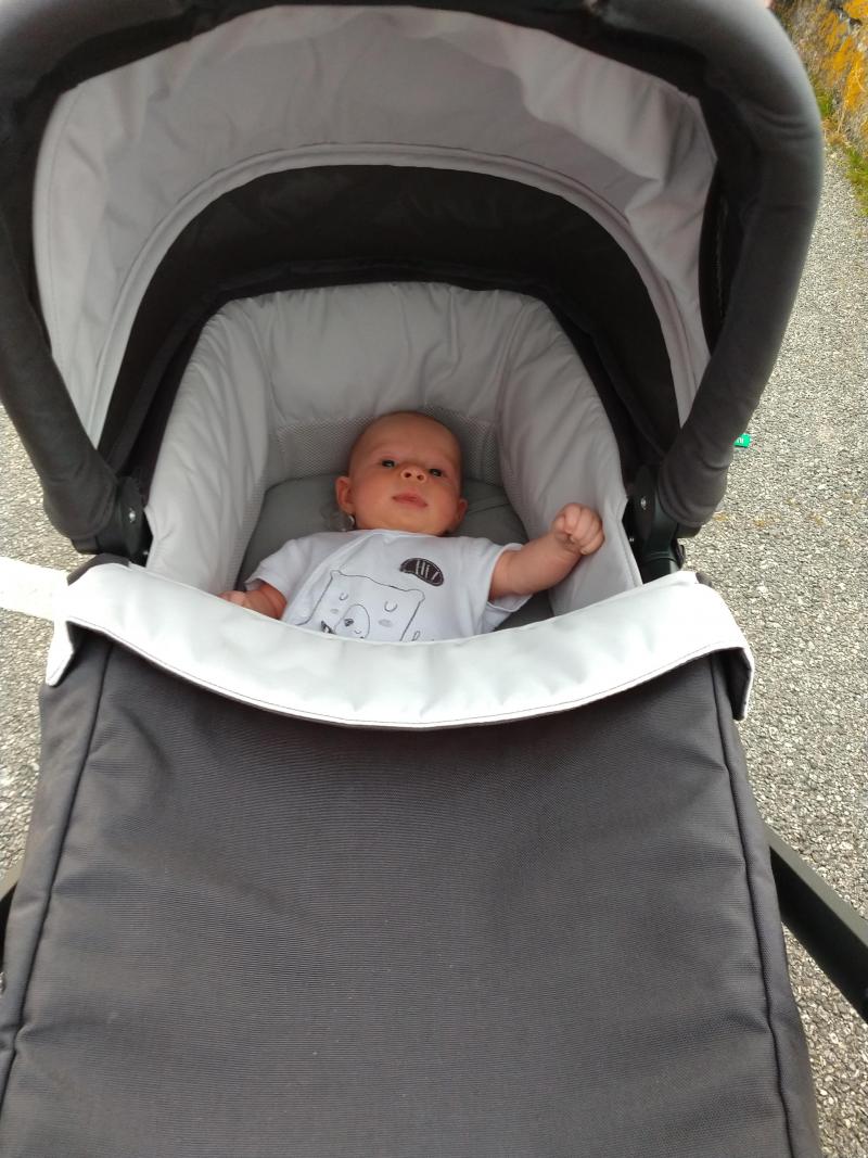 Nuna mixx carrycot overnight sales sleeping