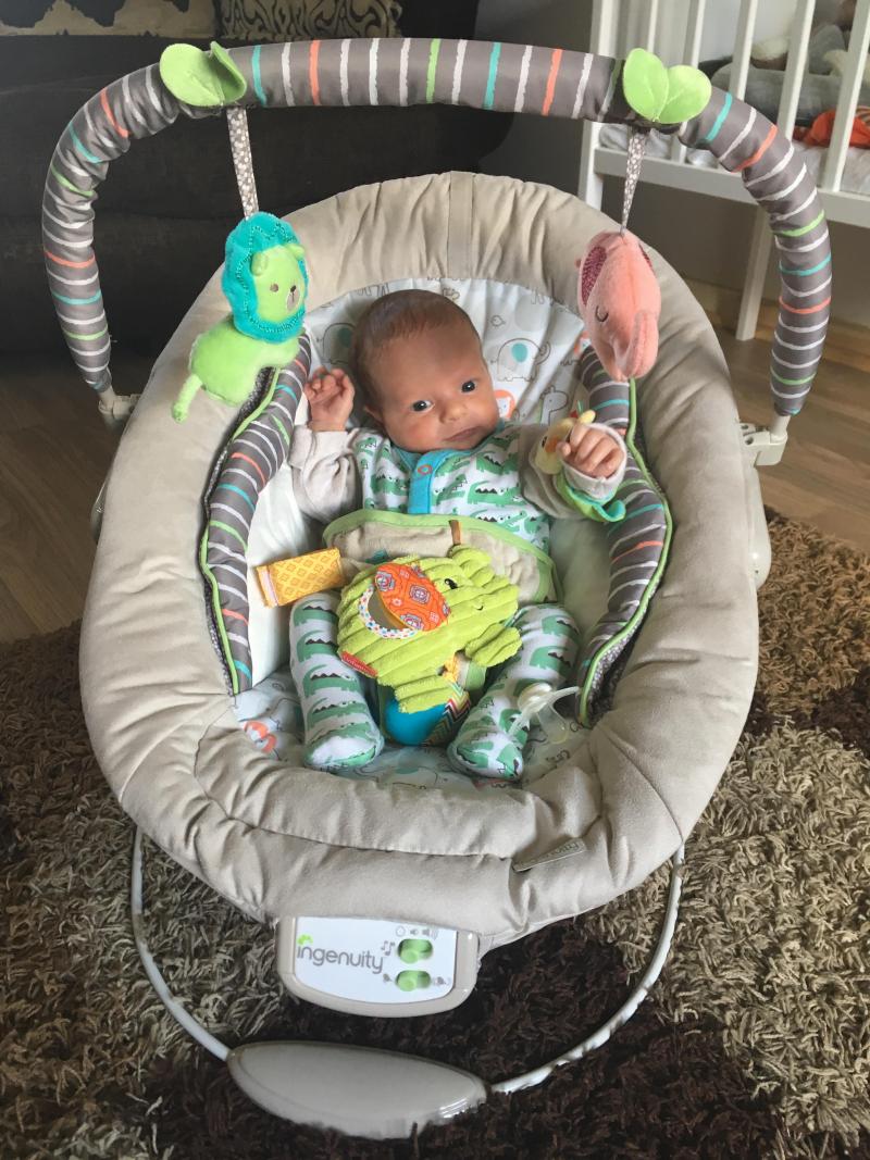 ingenuity bouncer flora