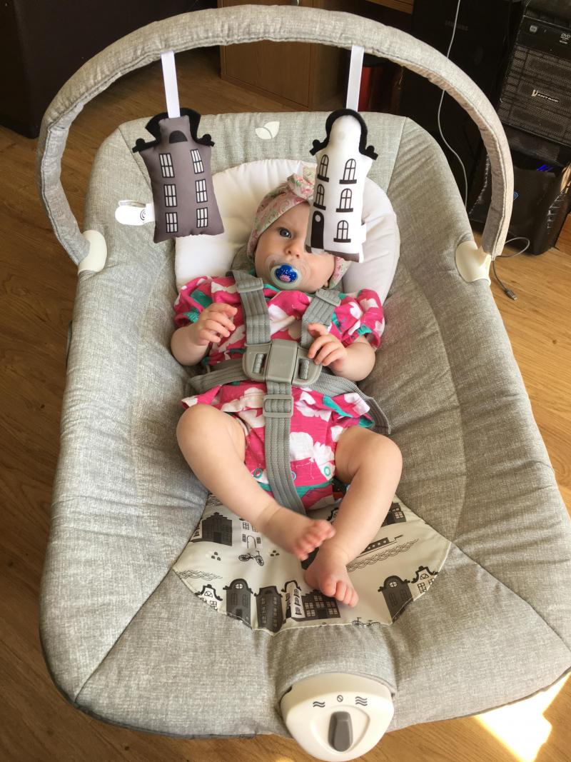 Joie Wish Bouncer Reviews