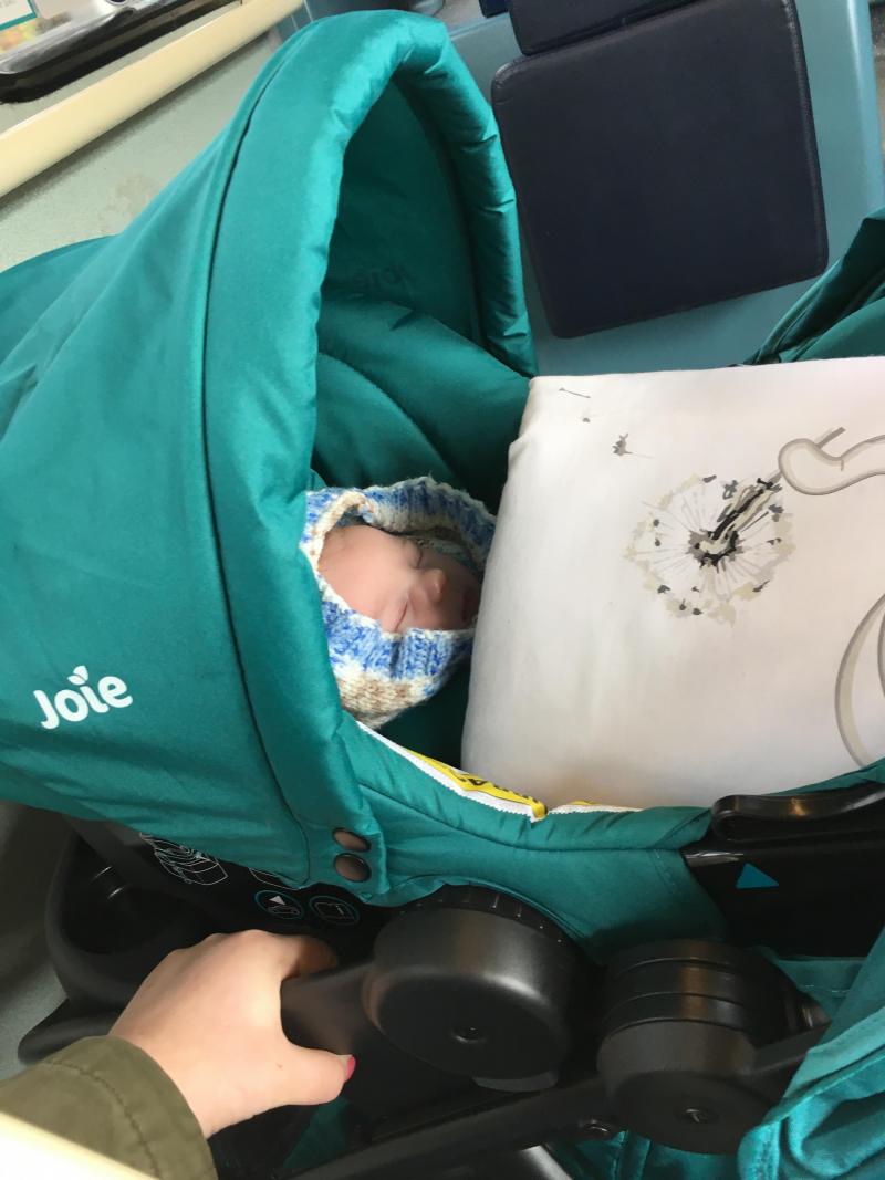 joie muze review