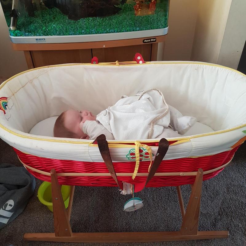 Little Bird Moses Basket Reviews