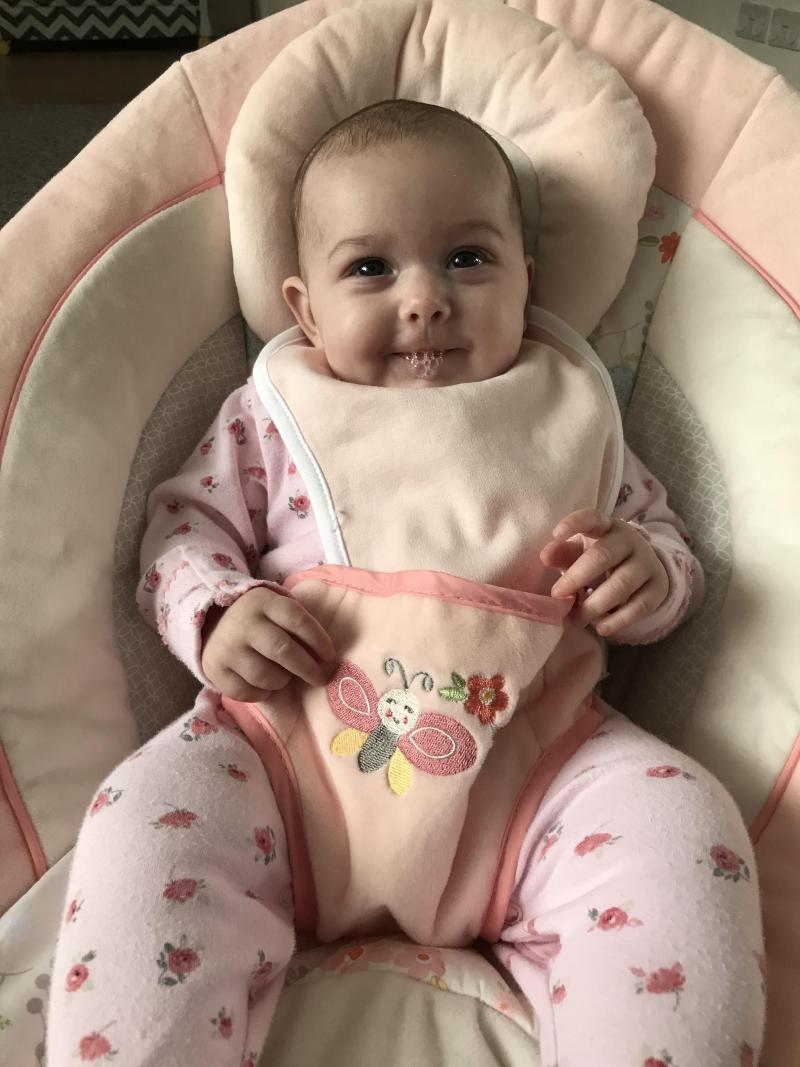 Ingenuity felicity hot sale floral bouncer