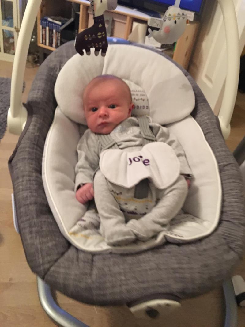 Joie Serina 2 in 1 Khloe and Bert Reviews