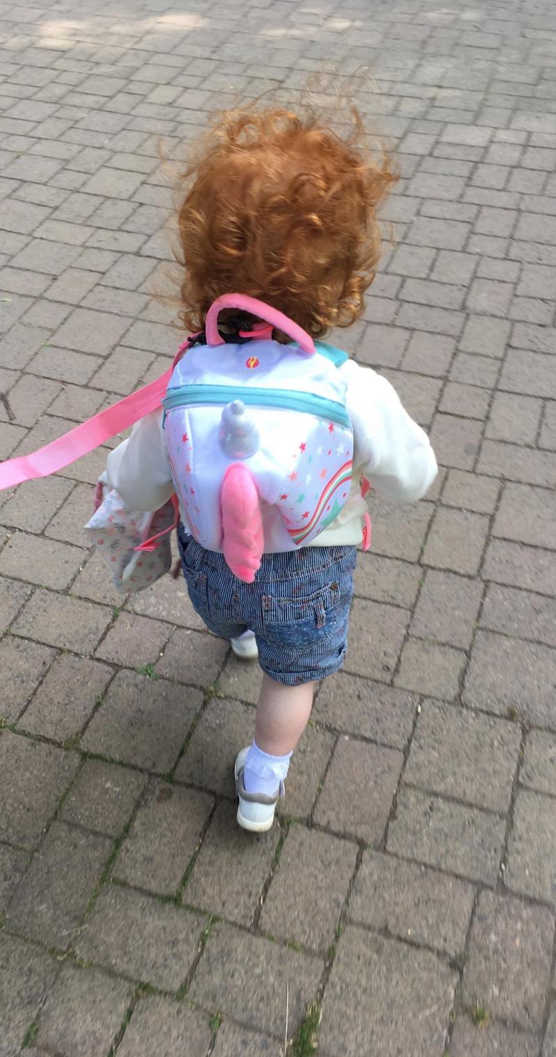 Little life unicorn online