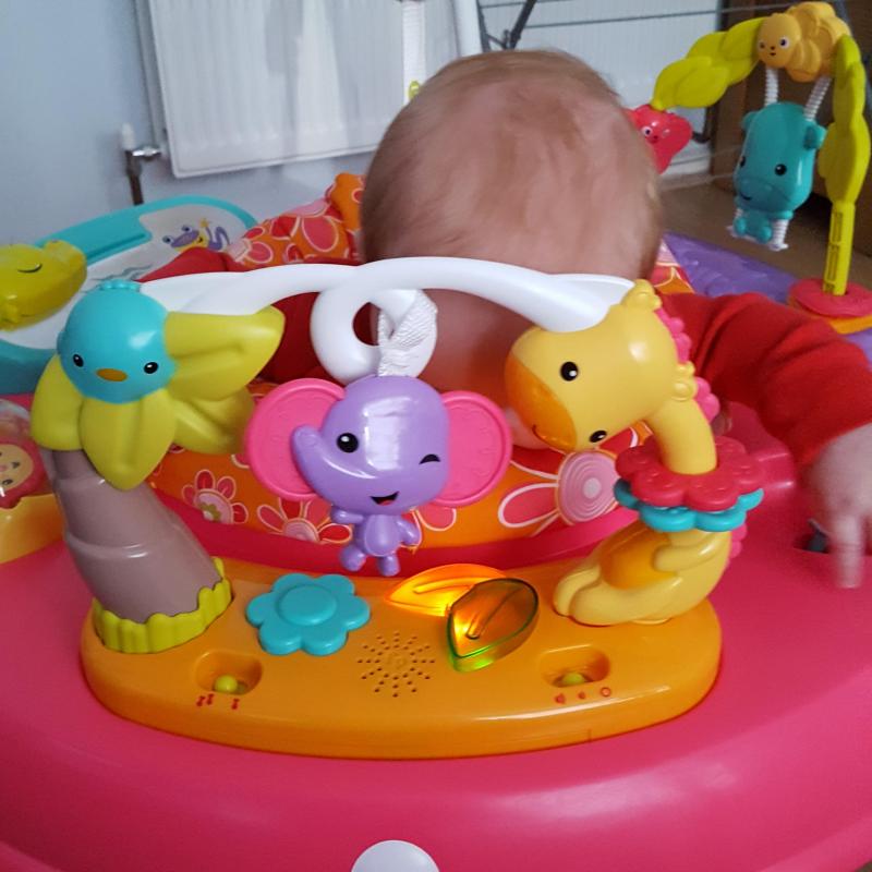 Fisher price pink petals jumperoo online