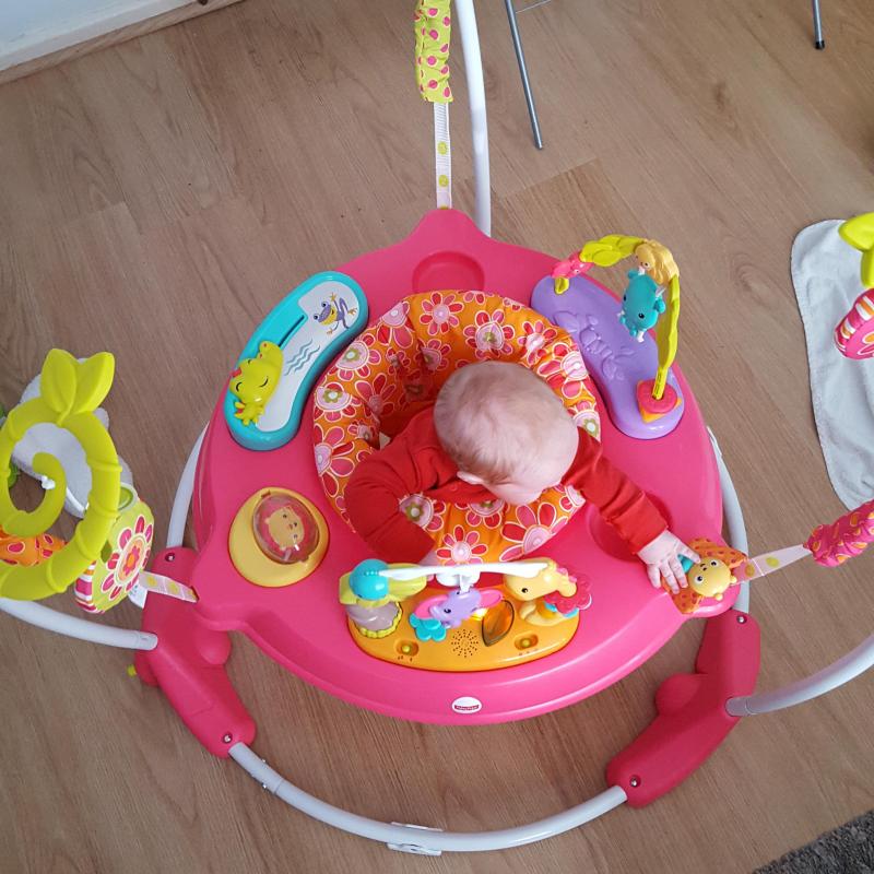 Fisher Price Pink petals jumperoo Reviews