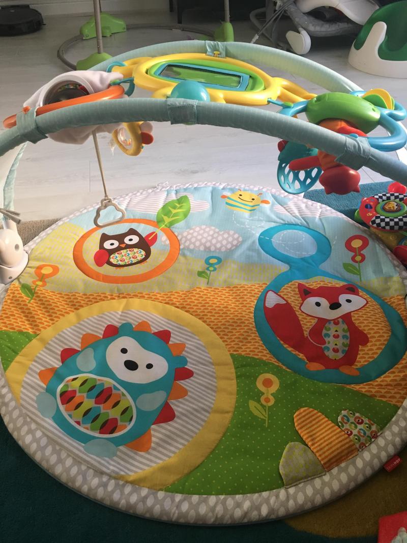 Skip Hop Explore and more amazing arch activity gym Reviews