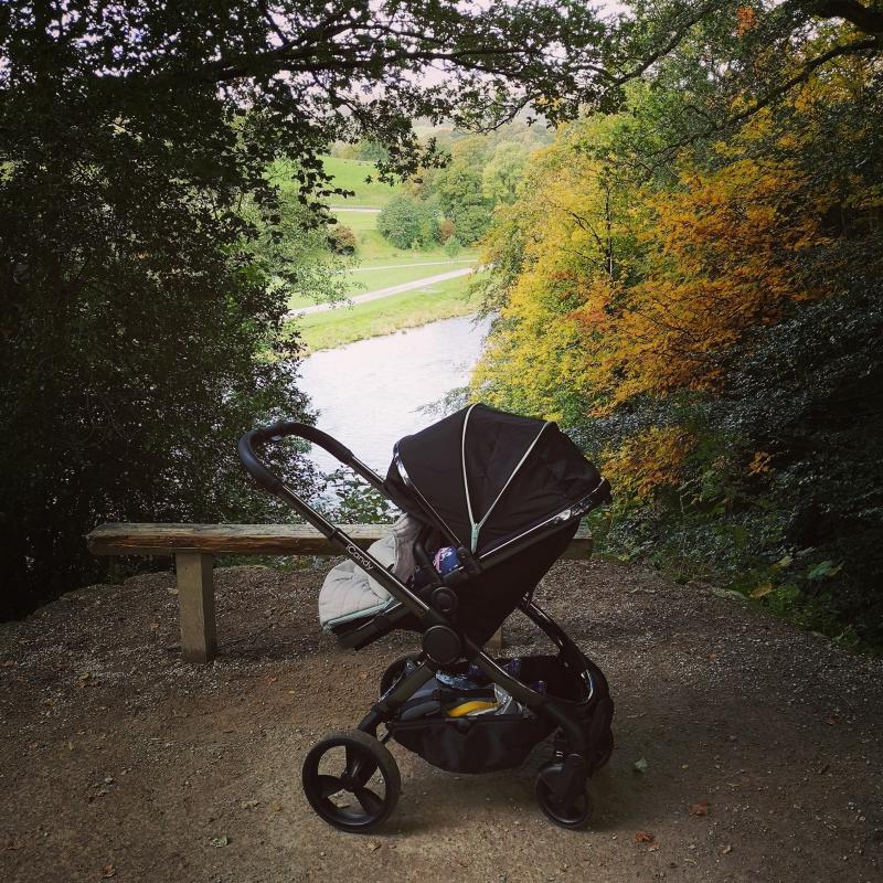 icandy beluga phantom