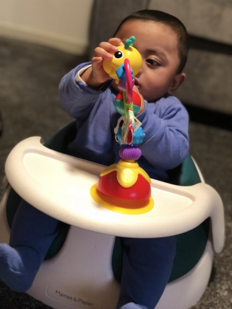 freddie the firefly table top toy