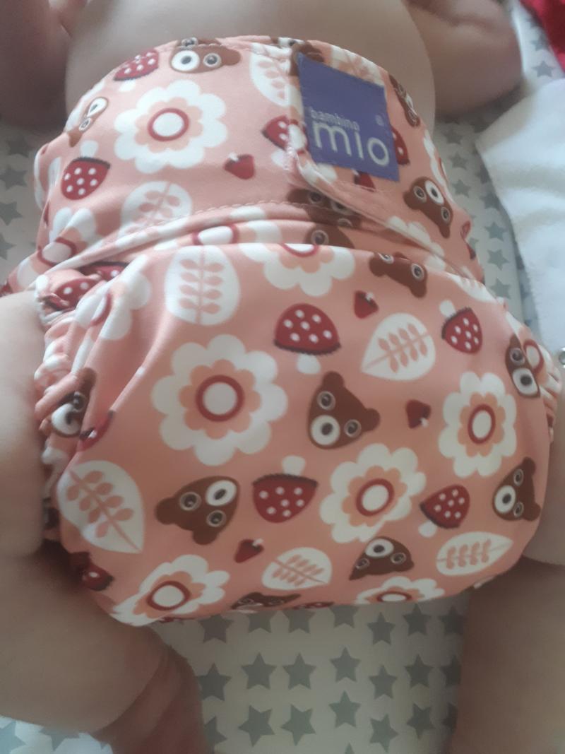 Bambino Mio Miosolo allinone reusable nappy Reviews