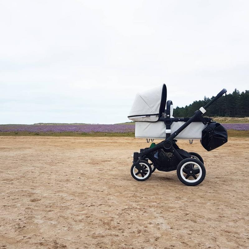 Bugaboo clearance buffalo classic+