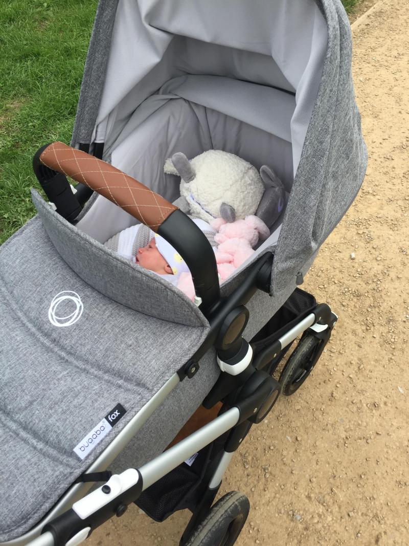 bugaboo fox classic review