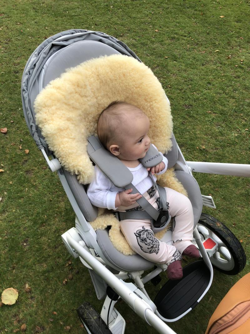Quinny moodd newborn insert store