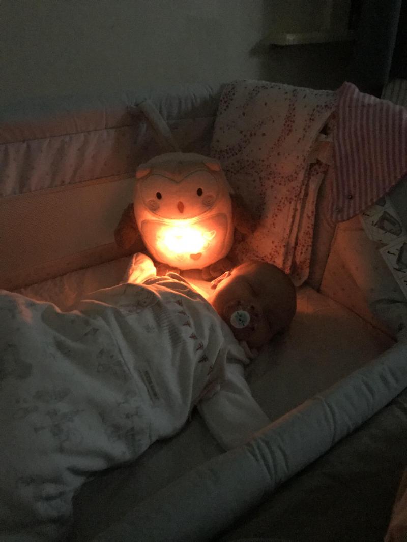 Chicco Next2Me Crib Dream Reviews