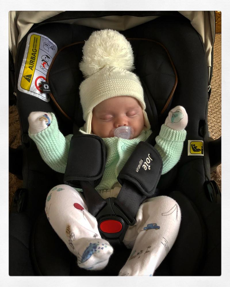 Joie i gemm infant insert sales