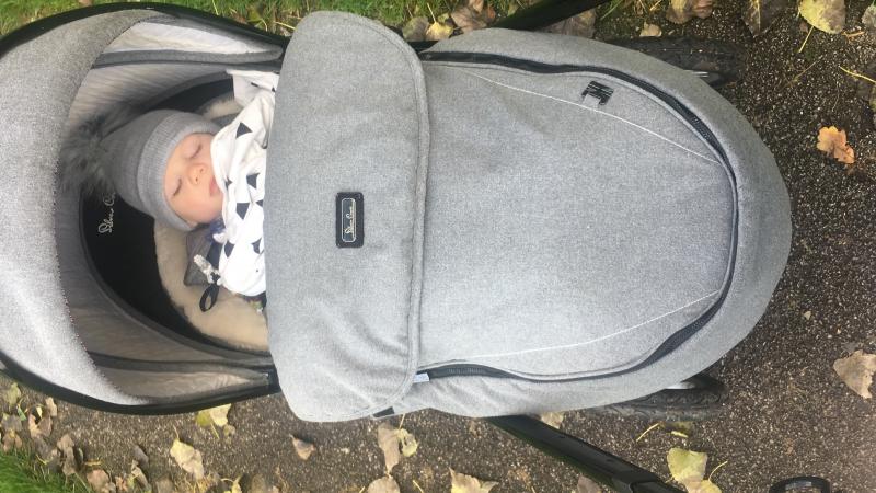 Silver surfer pram top