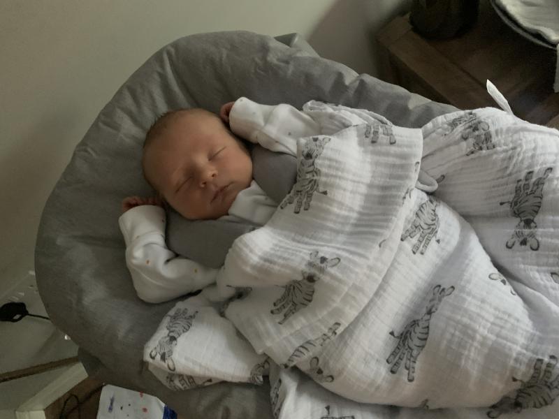 Stokke baby attachment cheap