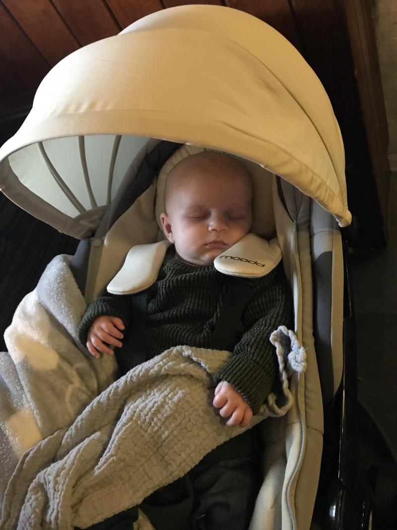 Quinny moodd baby nest sales