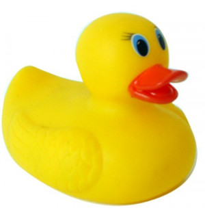 Dollarama rubber ducks online
