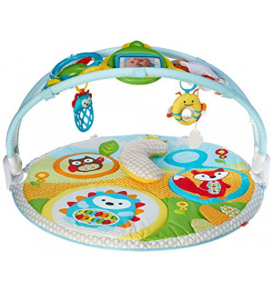 Skip Hop Explore and more amazing arch activity gym Reviews