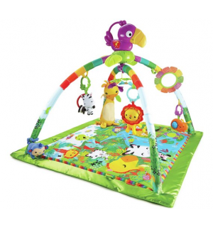 Fisher Price Rainforest Music and Lights Deluxe Gym Reviews