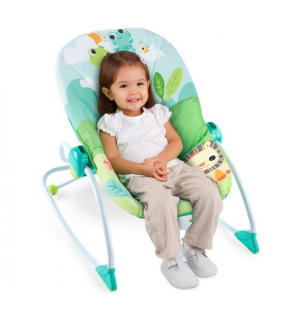 Bright Starts Playful Parade Baby To Big Kid Rocker Reviews