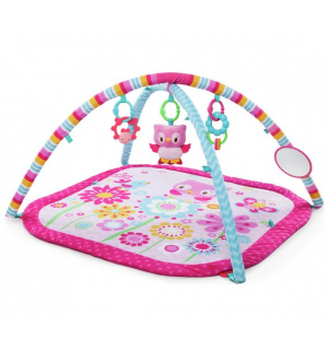 Bright Starts Pretty In Pink Fancy Flowers Activity Gym Reviews