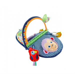 Fisher price tummy time mirror discount