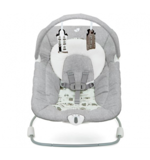 Joie wish bouncer review sales
