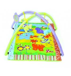 Bruin activity gym clearance