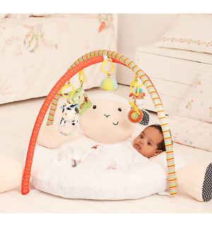 Blossom Farm Luxury Playmat and Arch Reviews
