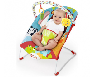 Pack of Pals Baby Bouncer