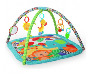 Zippy Zoo Activity Gym