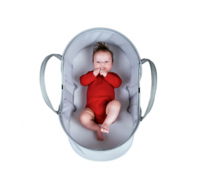 Phil and Teds Nest Baby Bassinet Reviews