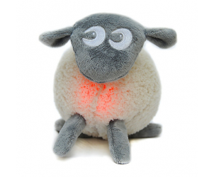 Ewan the dream sheep