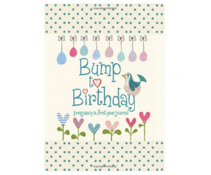Bump to birthday, pregnancy & first year...