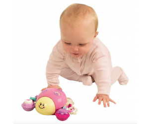 Push N' Go Ladybird