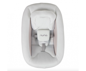 Nuna zaaz discount newborn seat