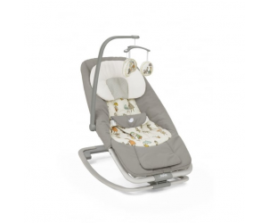 Joie Dreamer Rocker Reviews