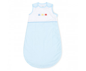 On the Road 0-6 months Snoozie Sleep Bag 