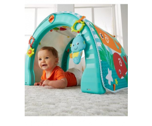 Fisher Price 4 in1 Ocean Activity Gym Reviews