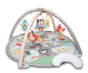 Treetop Friends Activity Gym