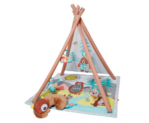Camping Cubs Activity Gym