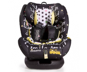 All-in-All Car Seat