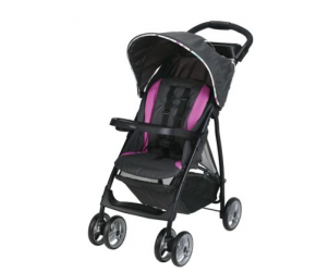 Graco literider lx stroller hotsell travel system