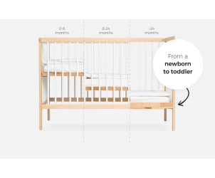 Mokee cot dimensions store