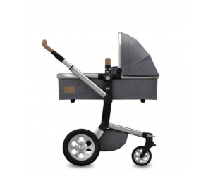 Day Special Edition Pushchair