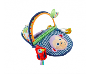 Fisher Price Monkey Mirror Reviews