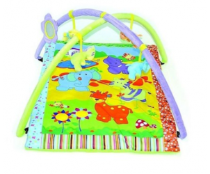 Baby Play Gym And Mat